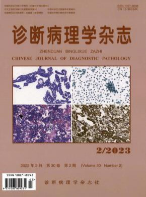 诊断病理学期刊